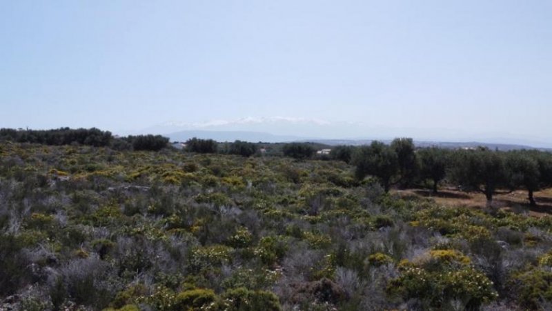 Chorafakia Chania Kreta, Chorafakia Chania: Grundstück mit Meer- und Bergblick zu verkaufen Grundstück kaufen